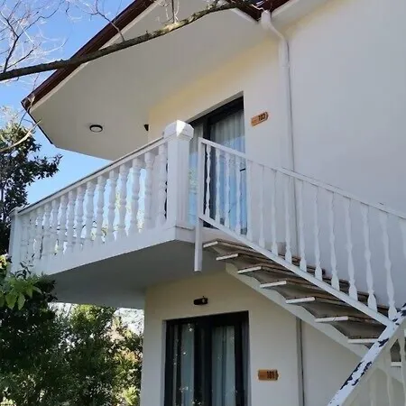 Albizia Boutique Hotel-2